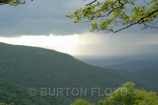 BRF_0052.JPG