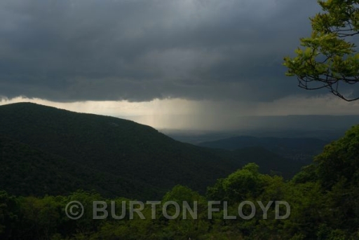 BRF_0054.JPG