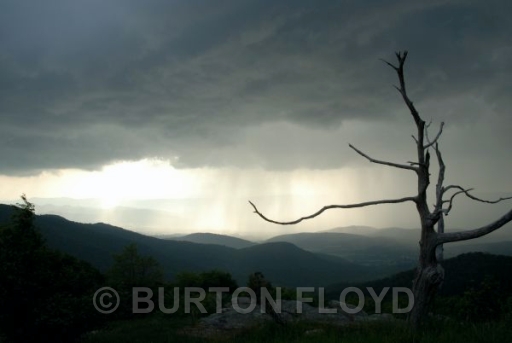 BRF_0060.JPG