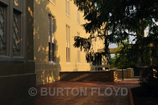 BD3_0089.JPG