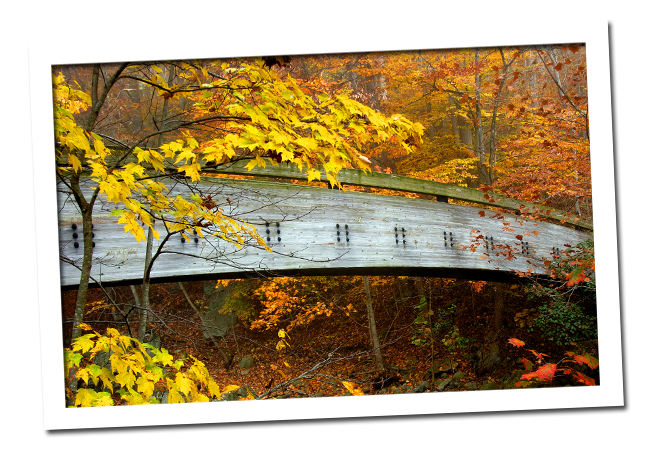 bridge
